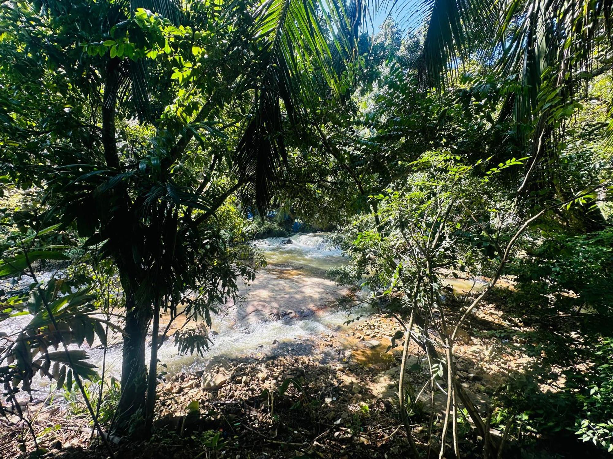 River Splendour Home Stay Ела Екстериор снимка