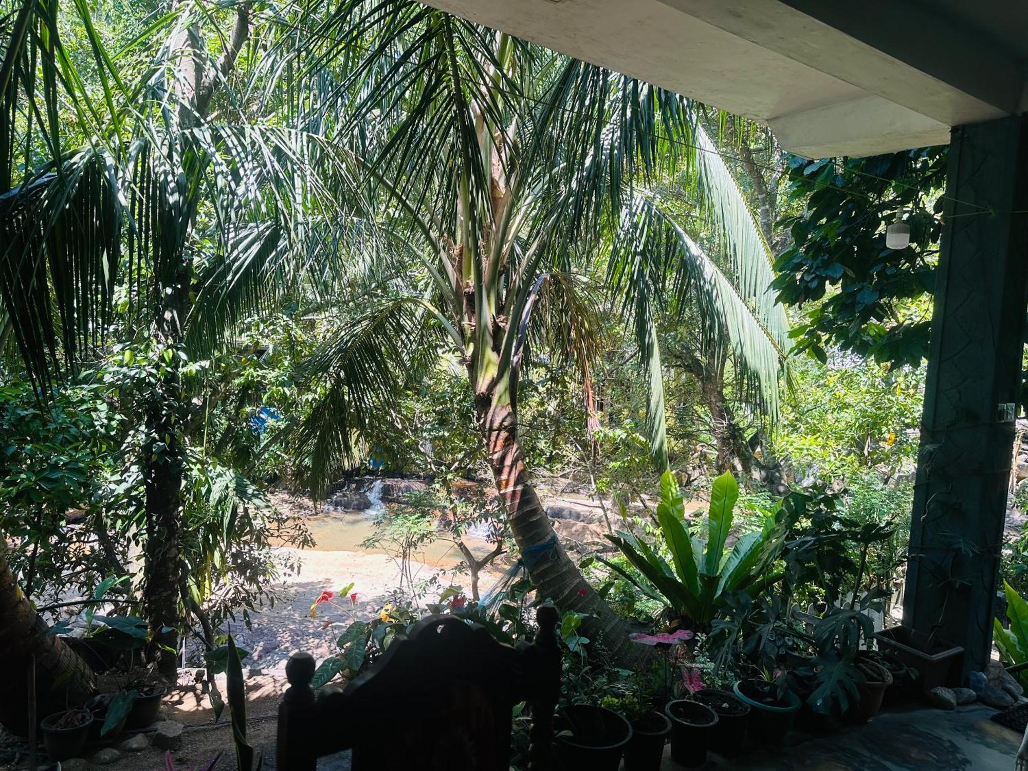 River Splendour Home Stay Ела Екстериор снимка