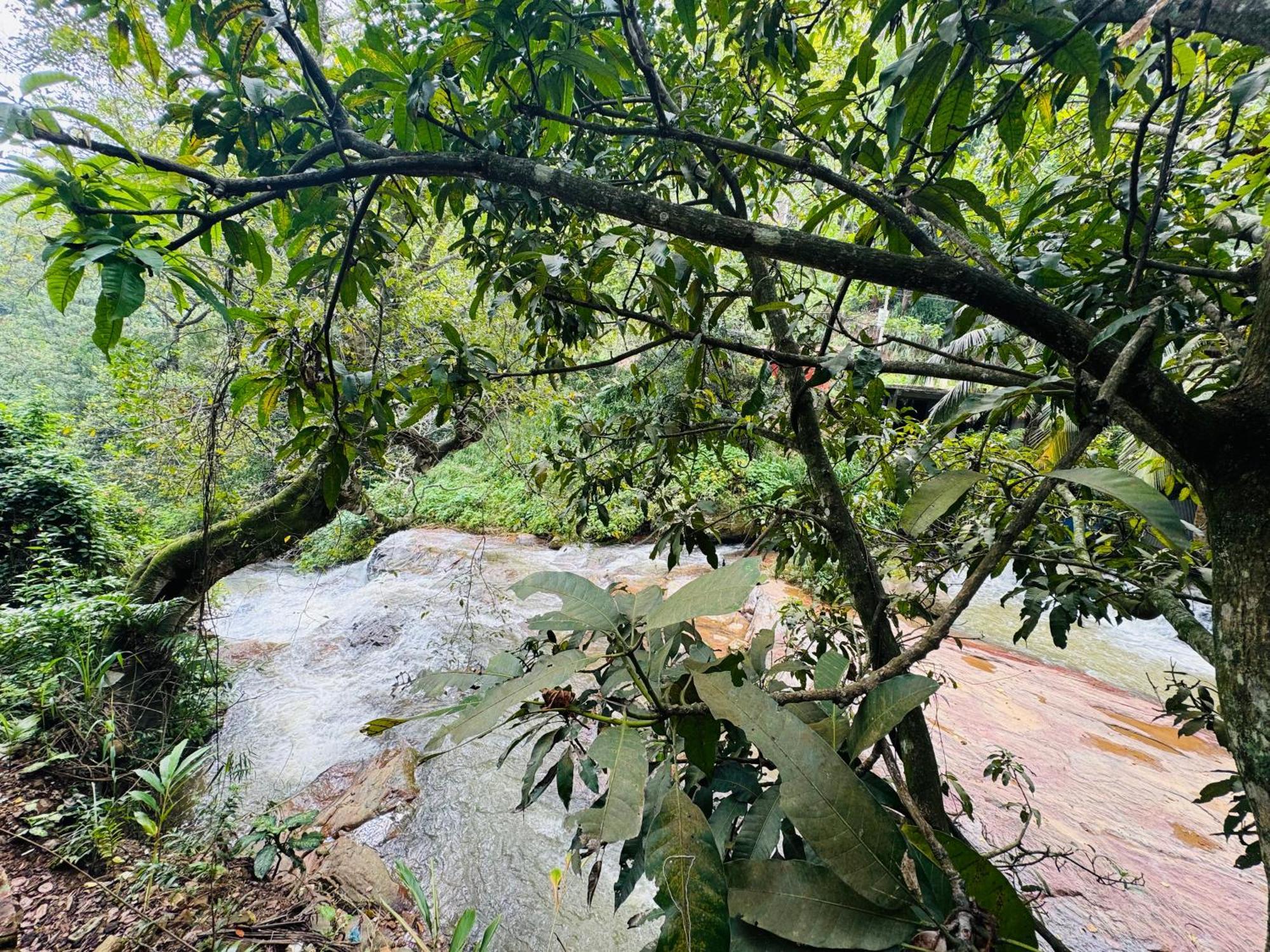 River Splendour Home Stay Ела Екстериор снимка
